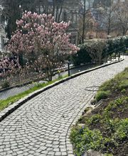 Daily Gartenpflege Bild 3