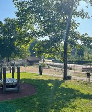 Obere Mühle Villmergen Bild 13