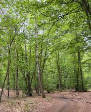 FriedWald Lehnin Bild 6