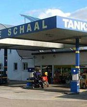 August Schaal Bild 1