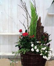 A Fleur De Lys SARL image 4