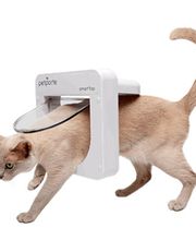 Maeder's Glasreparaturservice Bild 2