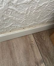 SafeHome Schädlingsbekämpfung Köln Bild 7