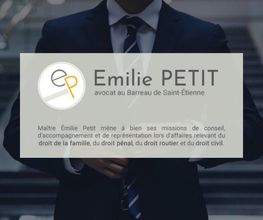 Petit Emilie image 2