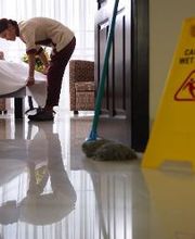 Neteges Pimot imagen 6