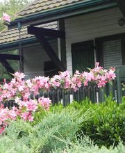 Camping Le Castella image 2