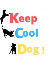 Keep Cool Dog image 20