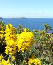 Camping Le Varquez Sur Mer image 8