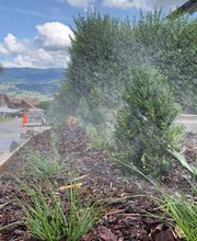 Alain Dutoit Jardinier-Paysagiste Sàrl Bild 2