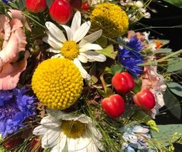 Blumen Meyer Bild 9