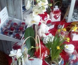Gallery Cliente
