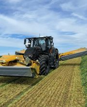 Eckardt Alexander Bild 2