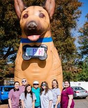The Pet Hospital image 2