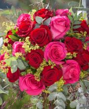 Sylvie Fleurs image 1