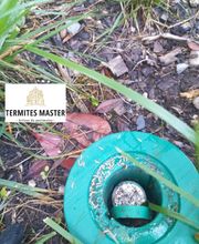 Termites Master image 10