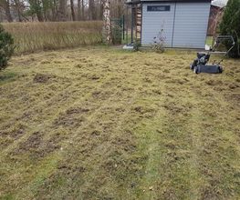 Reinigungs. Und Hausmeisterservice Dembowski Bild 4