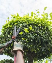 Jardipaysage image 1