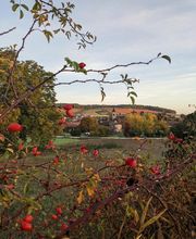 Champagne Moutaux EARL image 4