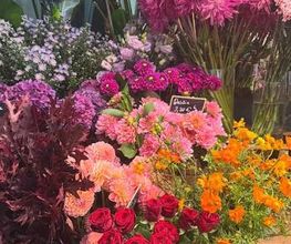 Riviera Fleurs Genève Bild 6