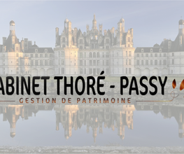 Cabinet Thoré-Passy image 2