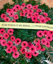 rojitas-las-orejas-300x300.jpg