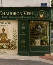 CHAUDRON VERT image 2