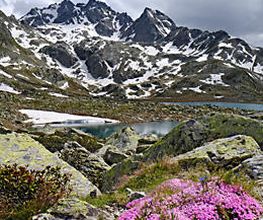 WeitWandern Bild 8