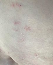 Sebastien Dragin image 17