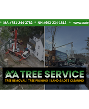 AA Tree Service image 1