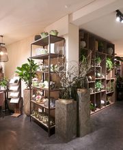 FLORA Weinfelden Bild 2