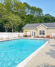 Cedar Tree Apartments image 15