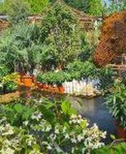 JARDILAND image 2