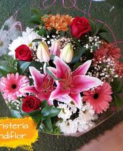 Floristeria Mundiflor imagen 8
