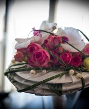Flowers image 6