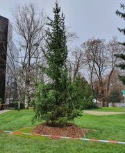 JB Jardins SA Bild 1