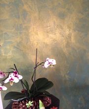 JÄGGI AG MALEN GIPSEN TAPEZIEREN Bild 4