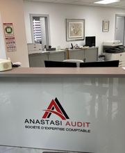Anastasi Audit image 3