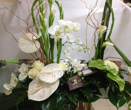 Laurence Fleurs image 4