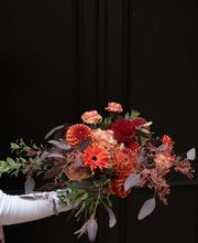 Persephone image 14