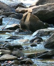 Bestattungsdienst Hedy Linder-Walther AG Bild 4