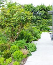 Ribi Gartenbau GmbH Bild 8