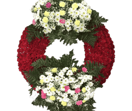 13506654-2-j1ko3EBtaL1701194899320.png