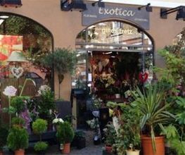 Exotica image 10