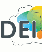 SDEI image 1