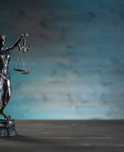 Guinet Thibault image 1