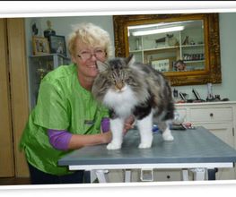Hundesalon Pfiffikus Bild 3