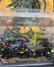 Fullerton Ace Hardware image 15