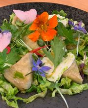 Kochschule Culinary Schwanefeld Bild 14