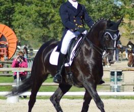 Centre Equestre de Mosnet image 7
