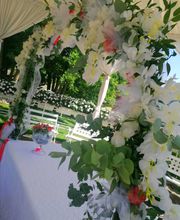 Gallery Professionale